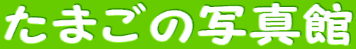 ܂̎ʐ^ 